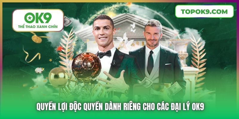 Quyền lợi độc quyền dành riêng cho các đại lý OK9